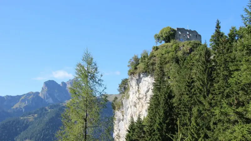 Burgruine Falkenstein thront auf Felsklippe, umgeben von Nadelbäumen. Perfekt für eine Wanderung mit Bergblick.